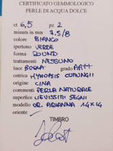 将图片加载到图库查看器,Orecchini argento e perla ARIANNA 14X14