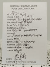 将图片加载到图库查看器，Orecchini lunghi  CERINO Tahiti